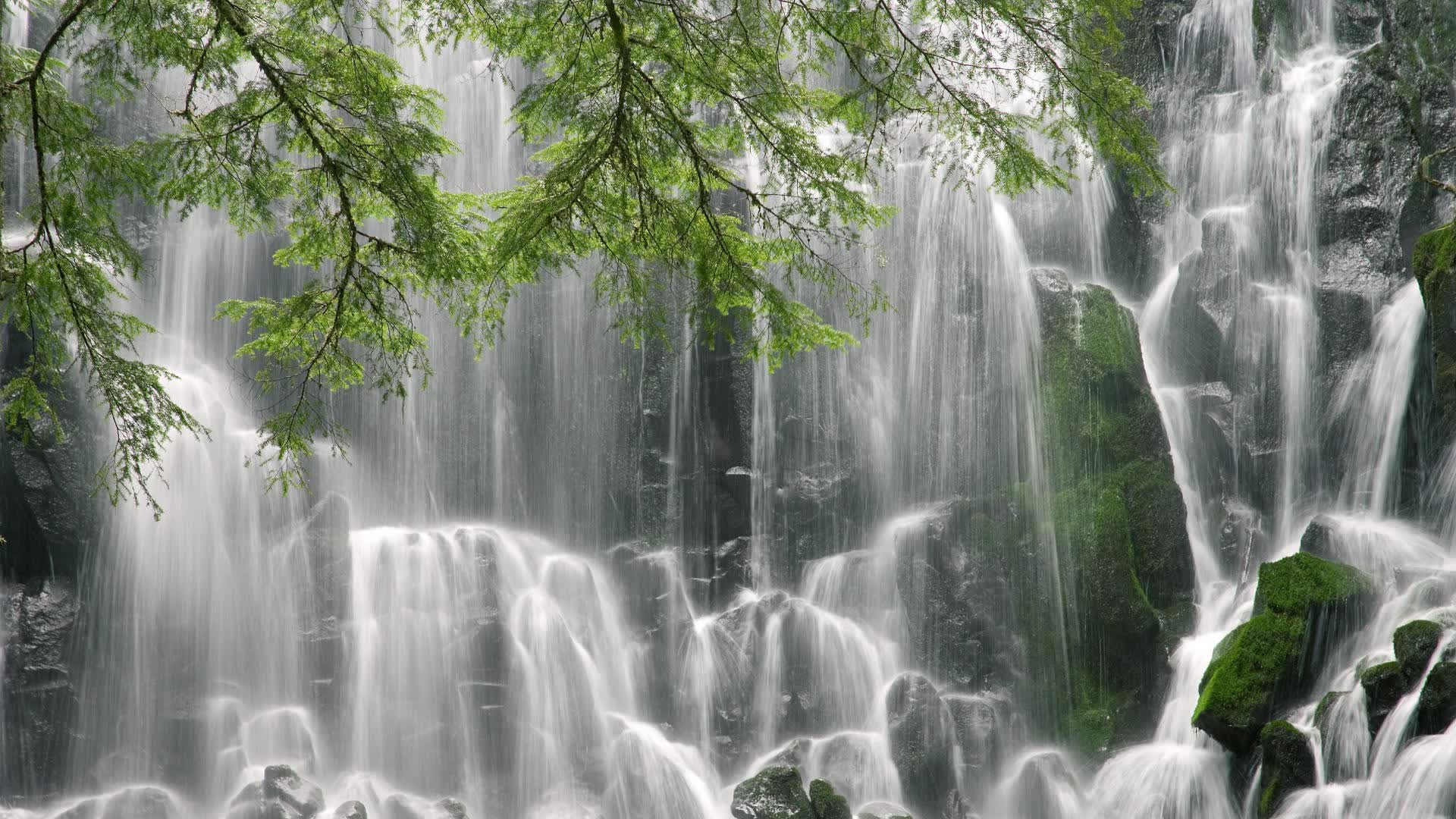 G组欧陆豪门遭遇非洲力量:2026世界杯比利时vs埃及后防盲区长传冲吊突击策略